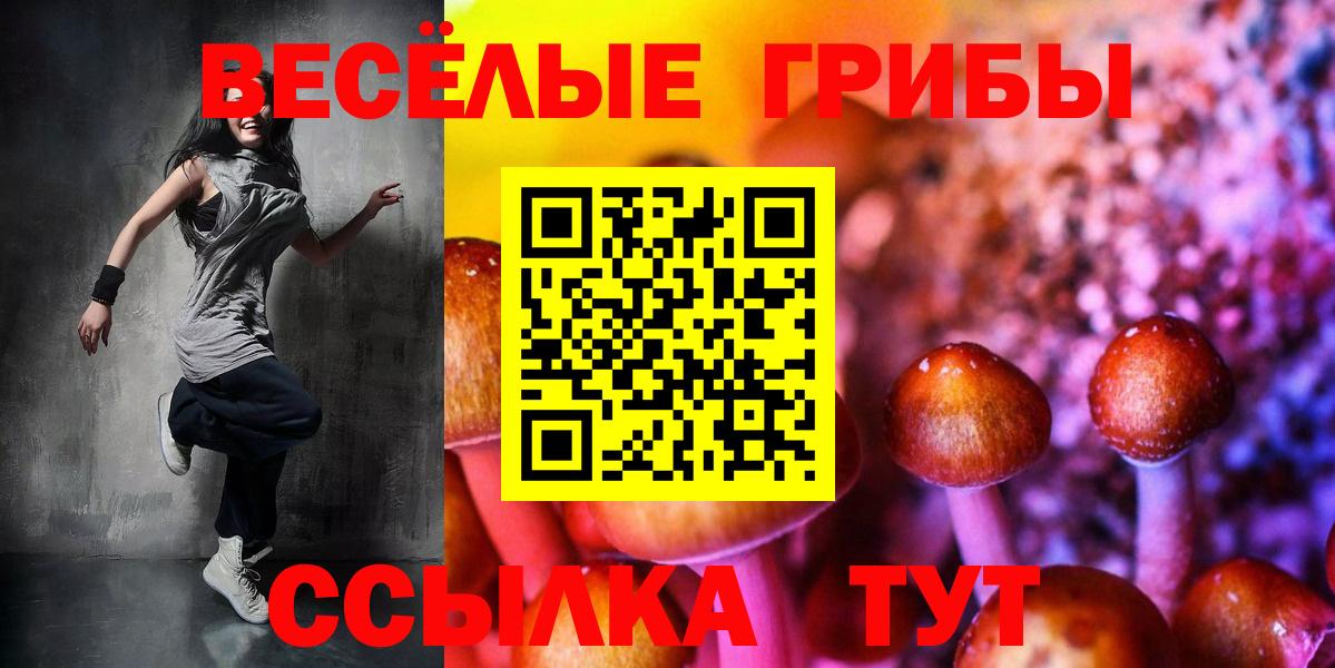 Галлюциногенные грибы MAGIC MUSHROOMS  Вход с VPN  Полысаево 